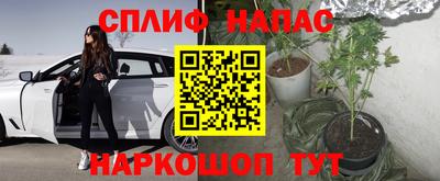 кокаин колумбия Кингисепп