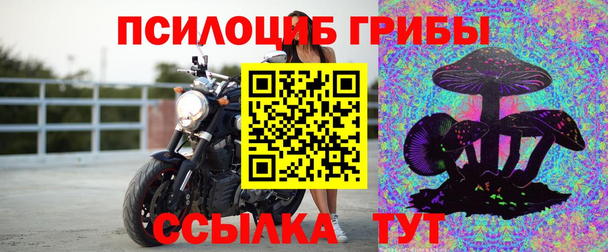 Псилоцибиновые грибы ЛСД Кубинка
